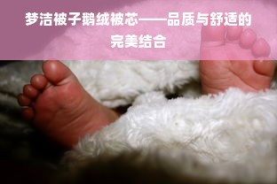 梦洁被子鹅绒被芯——品质与舒适的完美结合