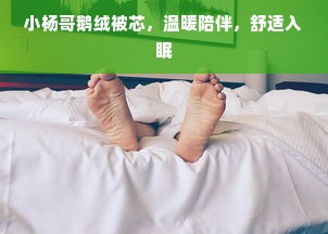 小杨哥鹅绒被芯，温暖陪伴，舒适入眠