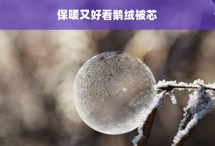 保暖又好看鹅绒被芯