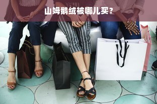 山姆鹅绒被哪儿买？