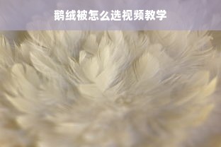 鹅绒被怎么选视频教学