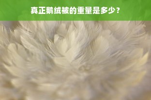 真正鹅绒被的重量是多少？