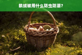 鹅绒被用什么防虫防潮？