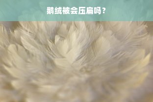 鹅绒被会压扁吗？