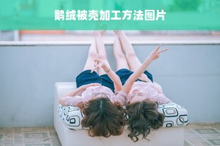 鹅绒被壳加工方法图片