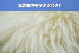 春夏鹅绒被多少克合适？