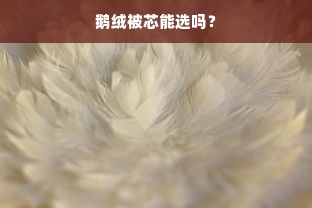 鹅绒被芯能选吗？