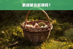 鹅绒被会起球吗？