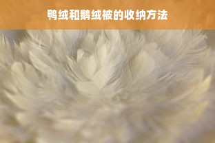 鸭绒和鹅绒被的收纳方法