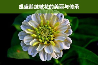 凯盛鹅绒被花的美丽与传承