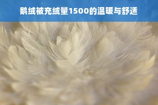 鹅绒被充绒量1500的温暖与舒适