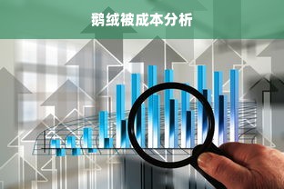 鹅绒被成本分析