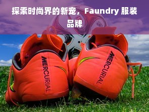 探索时尚界的新宠，Faundry 服装品牌