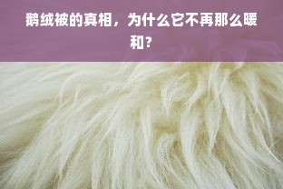 鹅绒被的真相，为什么它不再那么暖和？