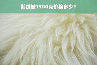 鹅绒被1300克价格多少？