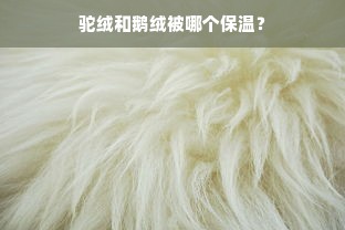 驼绒和鹅绒被哪个保温？