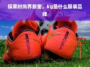 探索时尚界新宠，kg是什么服装品牌