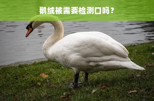 鹅绒被需要检测口吗？