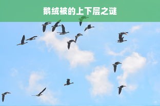 鹅绒被的上下层之谜