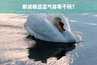 鹅绒被遇湿气容易干吗？