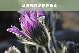 鹅绒被成坨处理指南