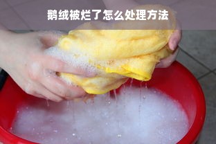 鹅绒被烂了怎么处理方法