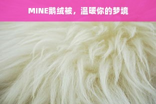 MINE鹅绒被，温暖你的梦境