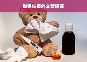 做鹅绒被的文案搞笑