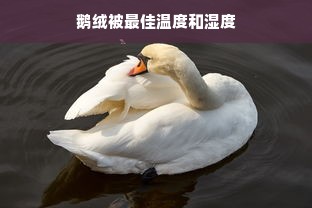 鹅绒被最佳温度和湿度