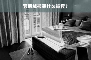 套鹅绒被买什么被套？