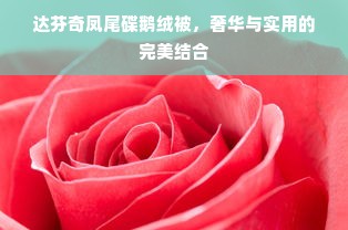 达芬奇凤尾碟鹅绒被，奢华与实用的完美结合