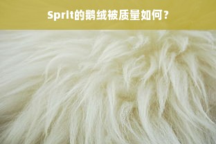 Sprit的鹅绒被质量如何？