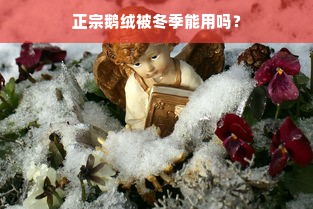 正宗鹅绒被冬季能用吗？