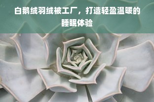 白鹅绒羽绒被工厂，打造轻盈温暖的睡眠体验