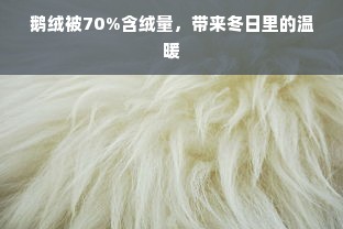 鹅绒被70%含绒量，带来冬日里的温暖