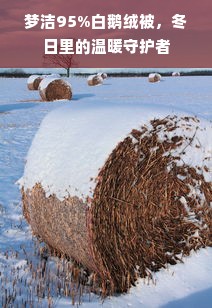 梦洁95%白鹅绒被，冬日里的温暖守护者