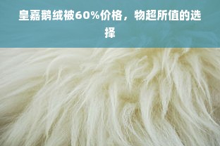 皇嘉鹅绒被60%价格，物超所值的选择