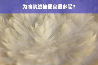 为啥鹅绒被便宜很多呢？