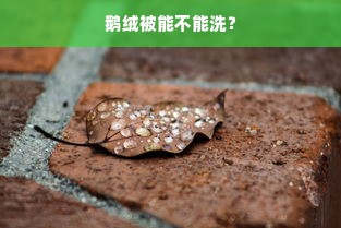 鹅绒被能不能洗？