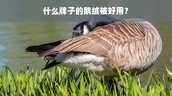 什么牌子的鹅绒被好用？