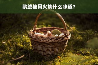 鹅绒被用火烧什么味道？