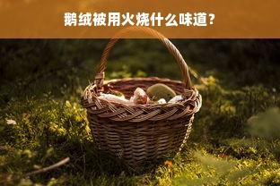 鹅绒被用火烧什么味道？