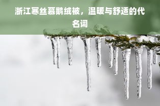 浙江寒丝慕鹅绒被，温暖与舒适的代名词