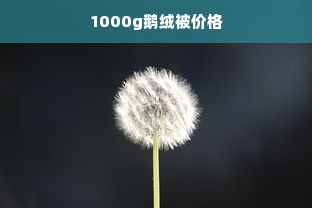 1000g鹅绒被价格