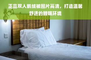 正品双人鹅绒被图片高清，打造温馨舒适的睡眠环境