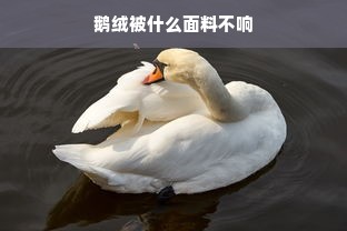 鹅绒被什么面料不响