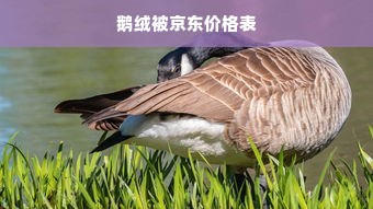 鹅绒被京东价格表