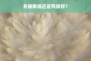 冬被鹅绒还是鸭绒好？