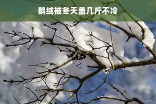 鹅绒被冬天盖几斤不冷