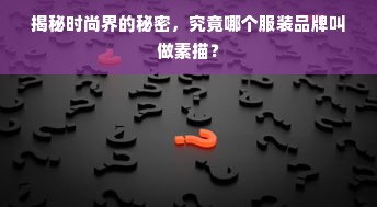 揭秘时尚界的秘密，究竟哪个服装品牌叫做素描？